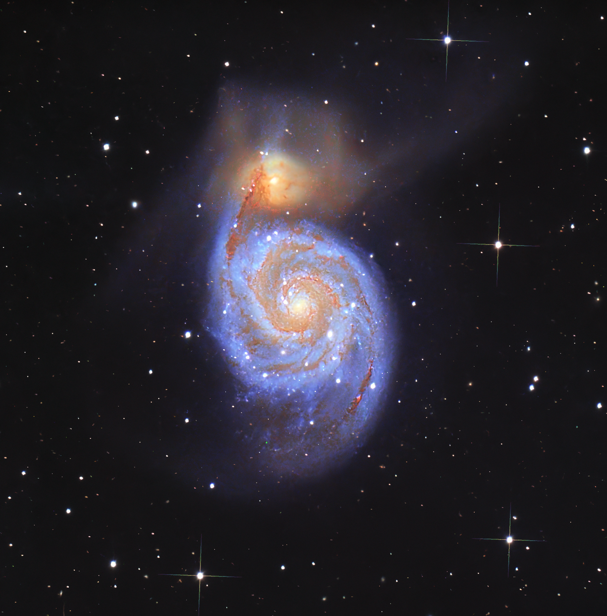 m51 tourbillon v2
