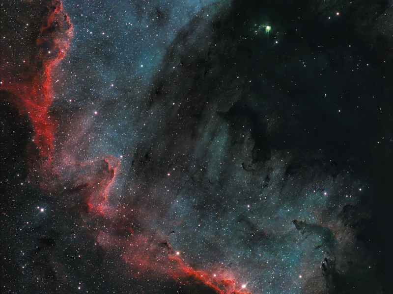 cygnus wall version 2   aout   v2