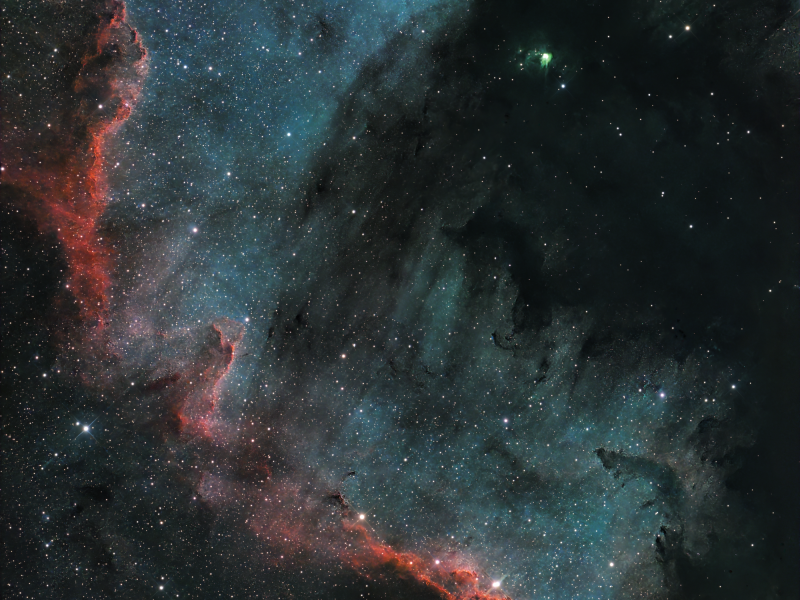 cygnus wall version 2   aout