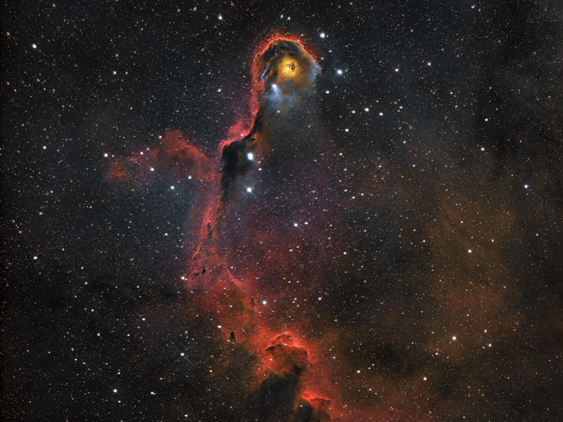 trunk nebula v3